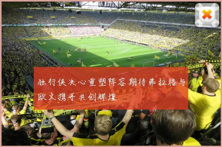 独行侠决心重塑阵容期待弗拉格与欧文携手共创辉煌