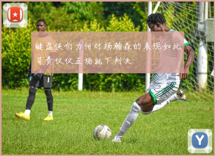 键盘侠们为何对杨瀚森的表现如此苛责仅仅五场就下判决