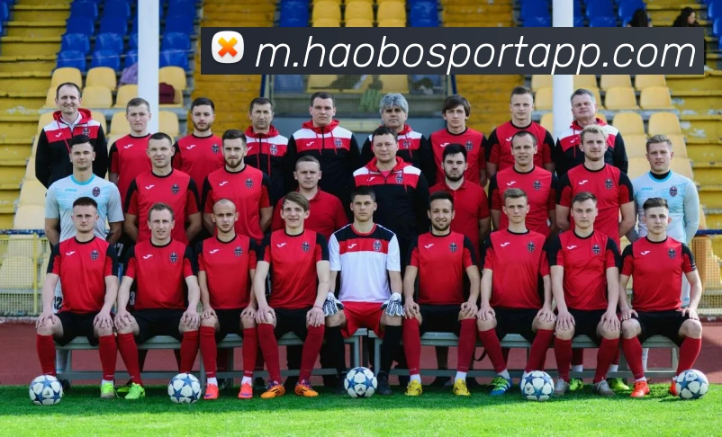 好博体育平台生态图